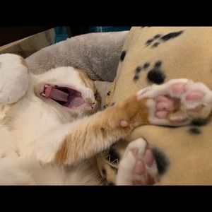 Meet your Posher, Julia